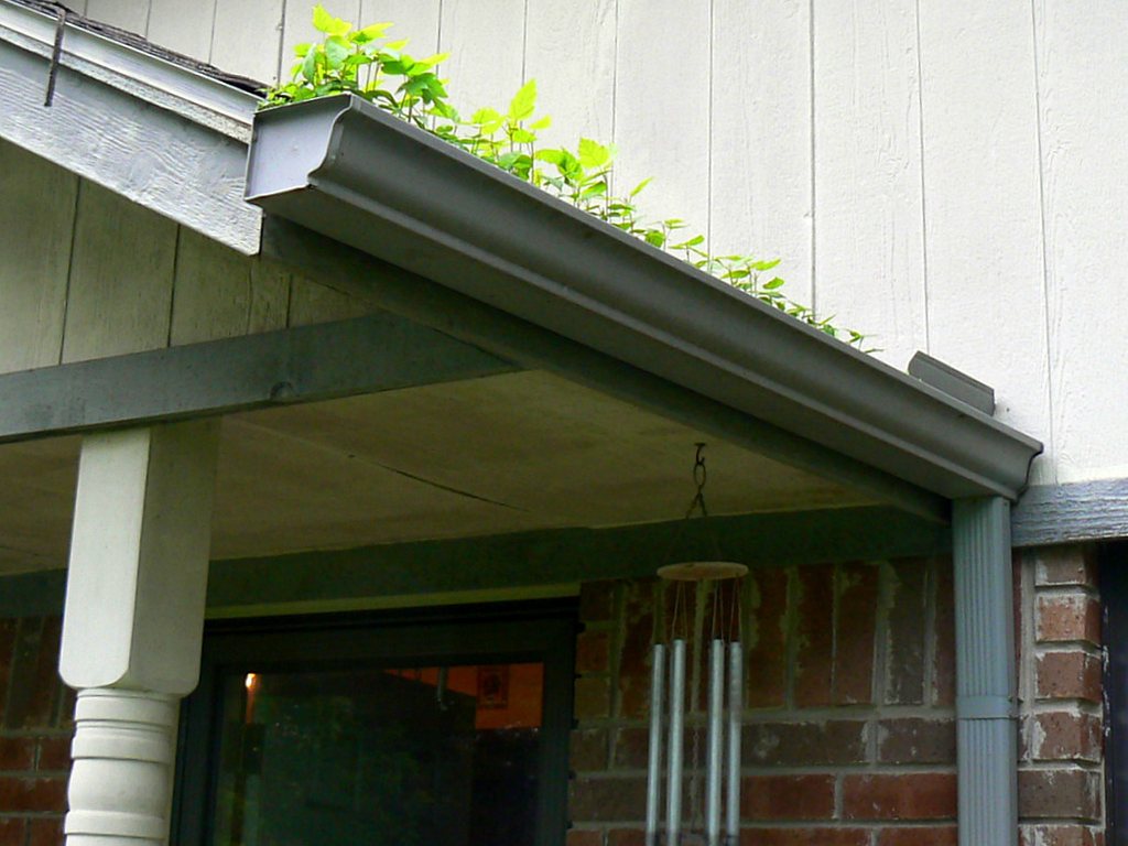 Rain gutter along the eave of a house roofline